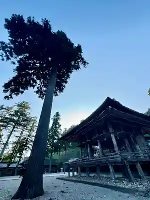 熊野大社(島根県)