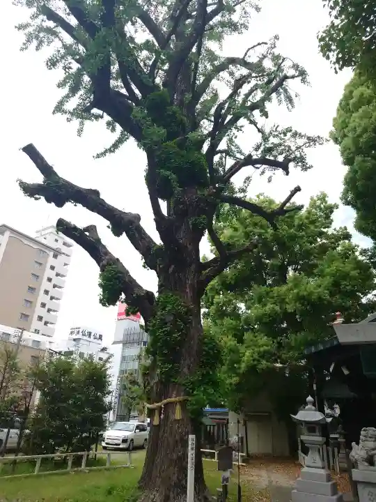 金山神社の{uncategorized: "未分類", other: "その他", undefined: "問題あり", building: "その他建物", grave: "お墓", sacred_gate: "鳥居", guardian: "狛犬", statue: "像", buddha: "仏像", history: "歴史", nature: "自然", garden: "庭園", animal: "動物", pagoda: "塔", temizu: "手水舎", mountain_gate: "山門・神門", sanctuary: "本殿・本堂", subordinate: "末社・摂社", art: "芸術", scenery: "景色", jizo: "地蔵", ema: "絵馬", goshuin: "御朱印", omikuji: "おみくじ", items: "授与品その他", amulet: "お守り", goshuincho: "御朱印帳", eats: "食事", festival: "お祭り", votive_dance: "神楽", shichigosan: "七五三参", wedding: "結婚式", experience: "体験その他", initially: "初詣", around: "周辺", anti_infection: "感染症対策"}