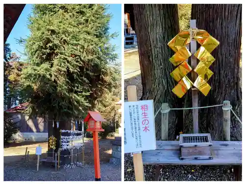 長沼八幡宮(栃木県)