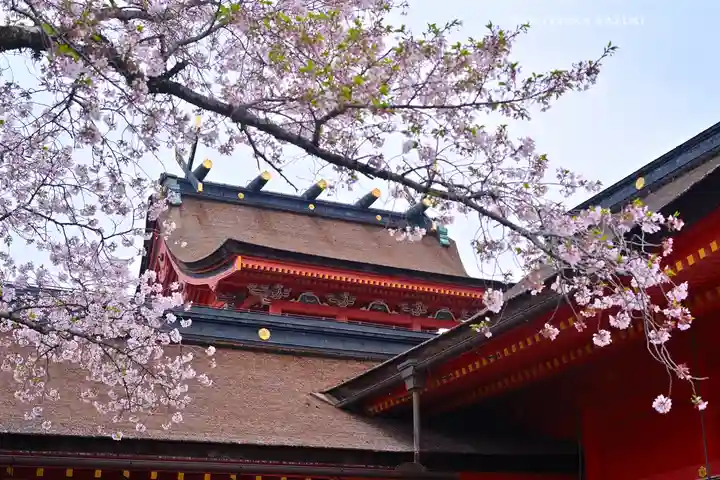 富士山本宮浅間大社(静岡県)