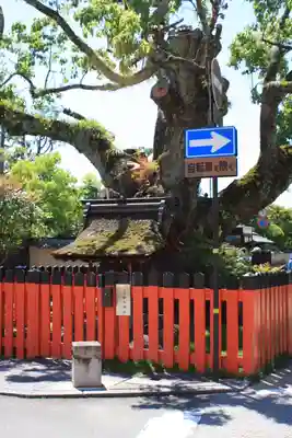 藤木社（賀茂別雷神社末社）(京都府)