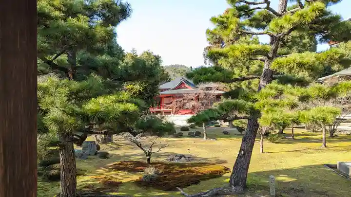 大覚寺(京都府)