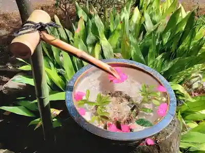 本法寺(京都府)