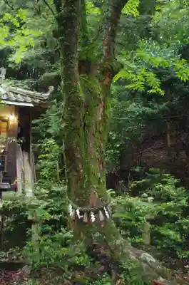 吉川八幡神社(大阪府)