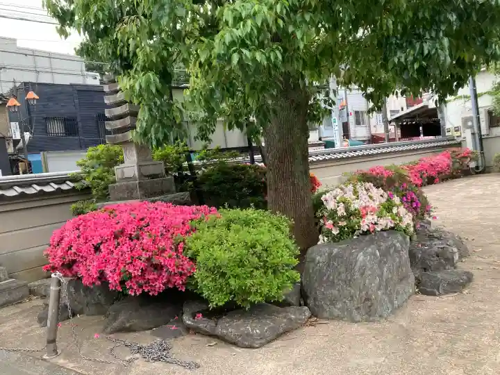 蓮馨寺の{uncategorized: "未分類", other: "その他", undefined: "問題あり", building: "その他建物", grave: "お墓", sacred_gate: "鳥居", guardian: "狛犬", statue: "像", buddha: "仏像", history: "歴史", nature: "自然", garden: "庭園", animal: "動物", pagoda: "塔", temizu: "手水舎", mountain_gate: "山門・神門", sanctuary: "本殿・本堂", subordinate: "末社・摂社", art: "芸術", scenery: "景色", jizo: "地蔵", ema: "絵馬", goshuin: "御朱印", omikuji: "おみくじ", items: "授与品その他", amulet: "お守り", goshuincho: "御朱印帳", eats: "食事", festival: "お祭り", votive_dance: "神楽", shichigosan: "七五三参", wedding: "結婚式", experience: "体験その他", initially: "初詣", around: "周辺", anti_infection: "感染症対策"}