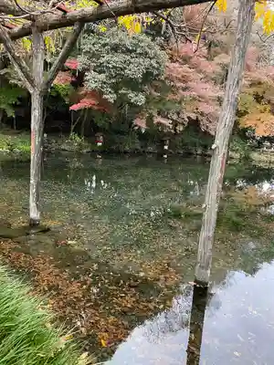 富士山本宮浅間大社(静岡県)