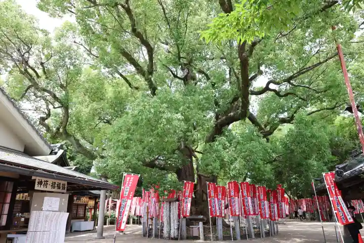 住吉大社(大阪府)