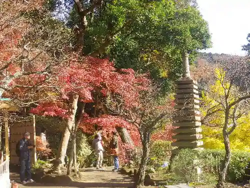 龍隠庵の庭園