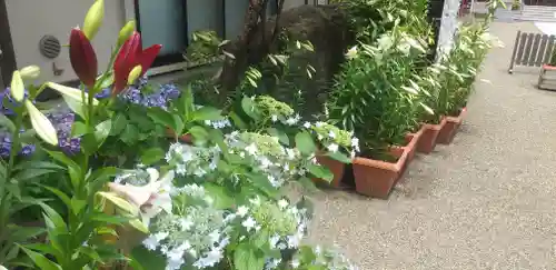 前川神社の自然