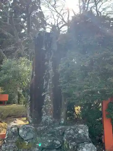 丹生都比売神社(和歌山県)