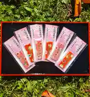 札幌護國神社のお守り