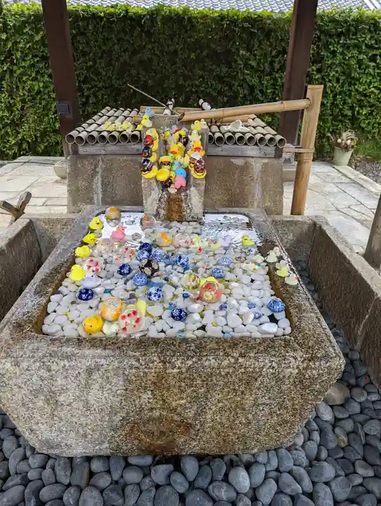 くろ谷 金戒光明寺(京都府)