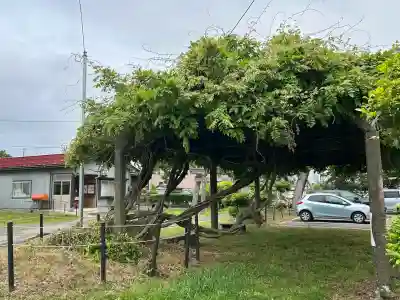 府中八幡宮(新潟県)