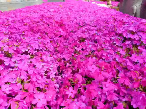 寿量山　速成寺(奈良県)