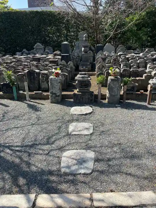 蓮光寺の{uncategorized: "未分類", other: "その他", undefined: "問題あり", building: "その他建物", grave: "お墓", sacred_gate: "鳥居", guardian: "狛犬", statue: "像", buddha: "仏像", history: "歴史", nature: "自然", garden: "庭園", animal: "動物", pagoda: "塔", temizu: "手水舎", mountain_gate: "山門・神門", sanctuary: "本殿・本堂", subordinate: "末社・摂社", art: "芸術", scenery: "景色", jizo: "地蔵", ema: "絵馬", goshuin: "御朱印", omikuji: "おみくじ", items: "授与品その他", amulet: "お守り", goshuincho: "御朱印帳", eats: "食事", festival: "お祭り", votive_dance: "神楽", shichigosan: "七五三参", wedding: "結婚式", experience: "体験その他", initially: "初詣", around: "周辺", anti_infection: "感染症対策"}