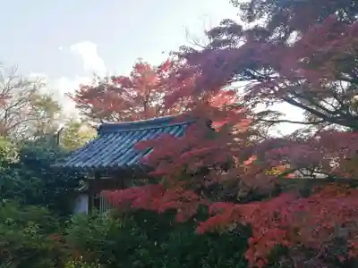 興福院のその他建物