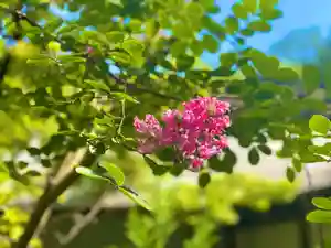 伊勢の国 四天王寺(三重県)(2023年08月02日(水) 15時21分30秒投稿)