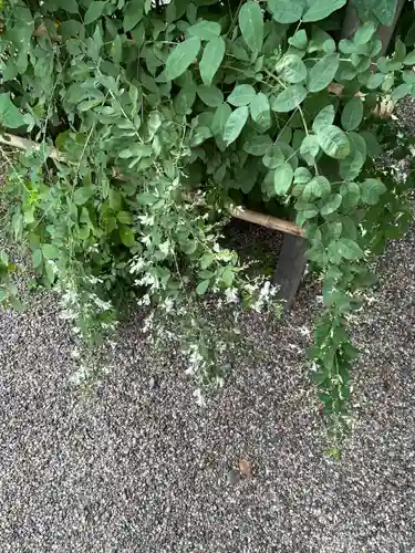 梨木神社(京都府)
