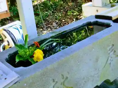 櫻井子安神社の手水舎