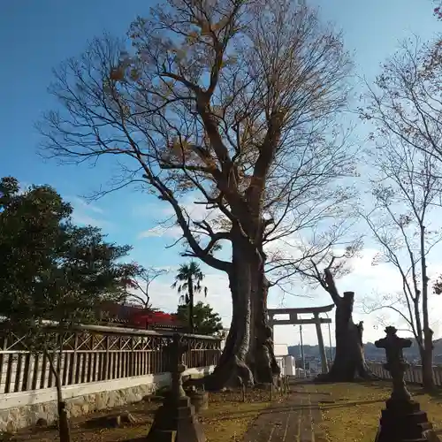 若宮八幡宮のその他建物