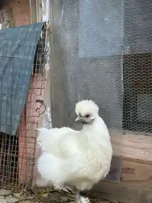 豊功神社(山口県)