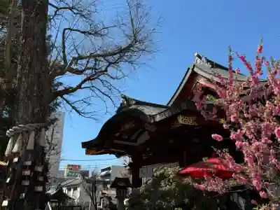 素盞雄神社の{uncategorized: "未分類", other: "その他", undefined: "問題あり", building: "その他建物", grave: "お墓", sacred_gate: "鳥居", guardian: "狛犬", statue: "像", buddha: "仏像", history: "歴史", nature: "自然", garden: "庭園", animal: "動物", pagoda: "塔", temizu: "手水舎", mountain_gate: "山門・神門", sanctuary: "本殿・本堂", subordinate: "末社・摂社", art: "芸術", scenery: "景色", jizo: "地蔵", ema: "絵馬", goshuin: "御朱印", omikuji: "おみくじ", items: "授与品その他", amulet: "お守り", goshuincho: "御朱印帳", eats: "食事", festival: "お祭り", votive_dance: "神楽", shichigosan: "七五三参", wedding: "結婚式", experience: "体験その他", initially: "初詣", around: "周辺", anti_infection: "感染症対策"}