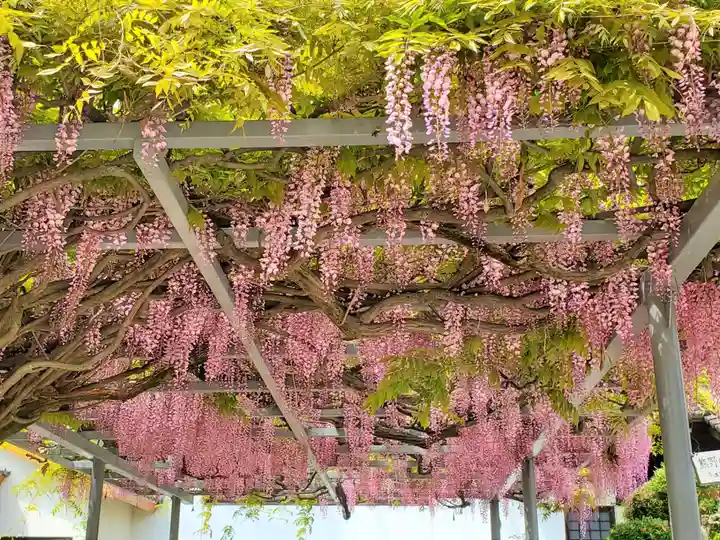 難波熊野神社の自然