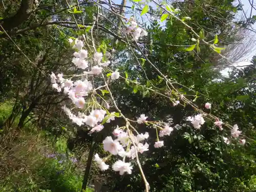 甘縄神明神社（甘縄神明宮）の自然