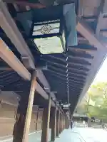 明治神宮(東京都)