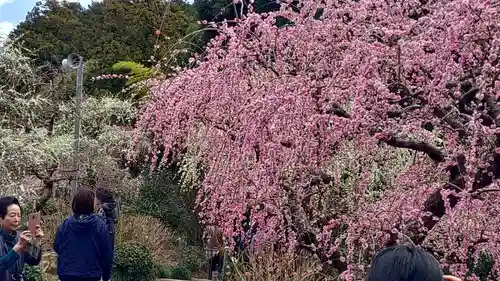 龍尾神社(静岡県)