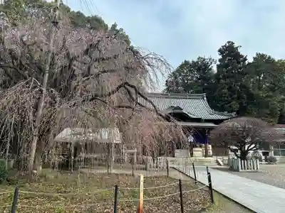 （長良）天神神社(岐阜県)