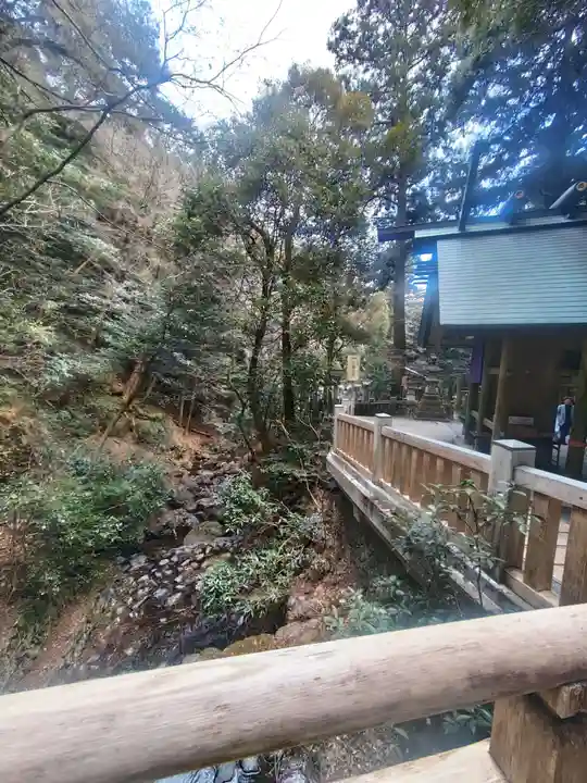 多度大社の自然