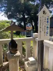 毛谷黒龍神社(福井県)