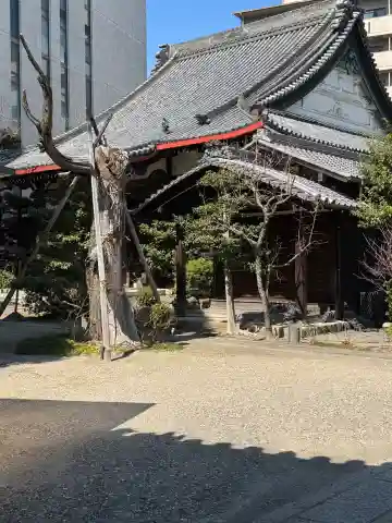 大法寺(愛知県)