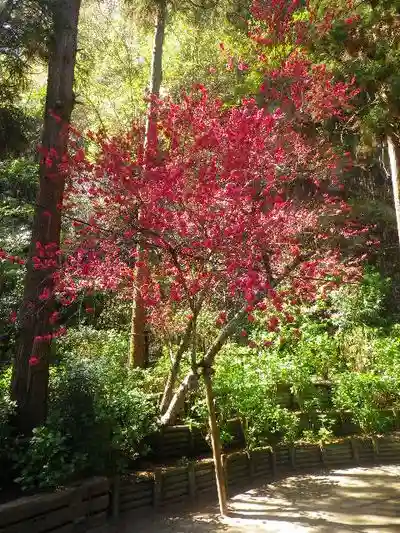 御霊神社の自然