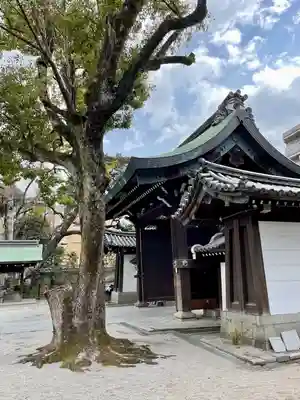 白峯神宮(京都府)