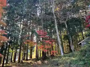 大宮温泉神社(栃木県)(2023年11月29日(水) 08時15分44秒投稿)