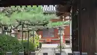 来迎寺(京都府)