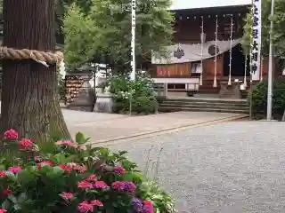比々多神社のその他建物