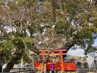 龍田神社(奈良県)