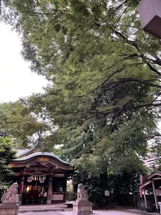 大鳥神社の自然