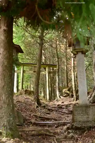 三峯神社(埼玉県)