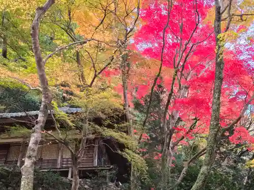 大威徳寺(大阪府)