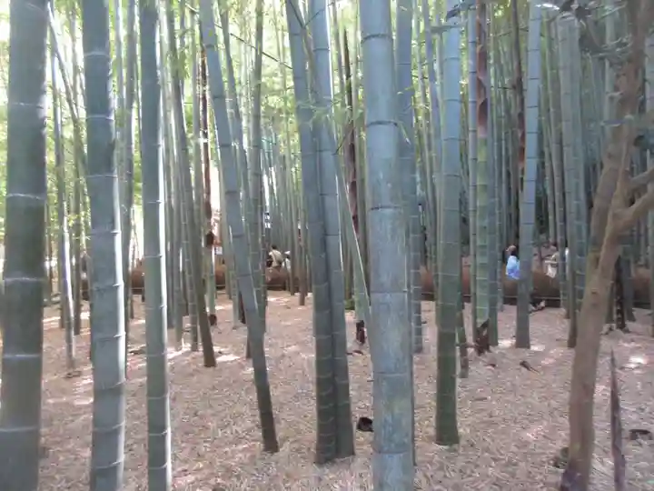 報国寺(神奈川県)