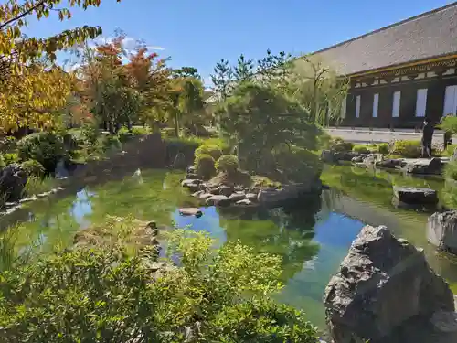 蓮華王院（三十三間堂）の庭園