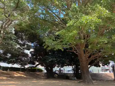 厳島神社(千葉県)