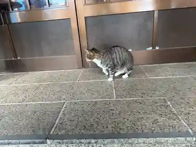 王子神社(徳島県)
