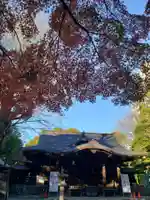 渋谷氷川神社(東京都)