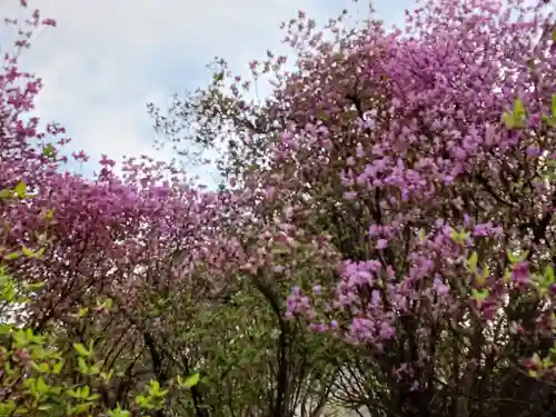 廣田神社(兵庫県)