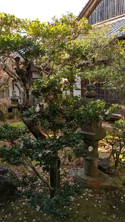 仁和寺(京都府)